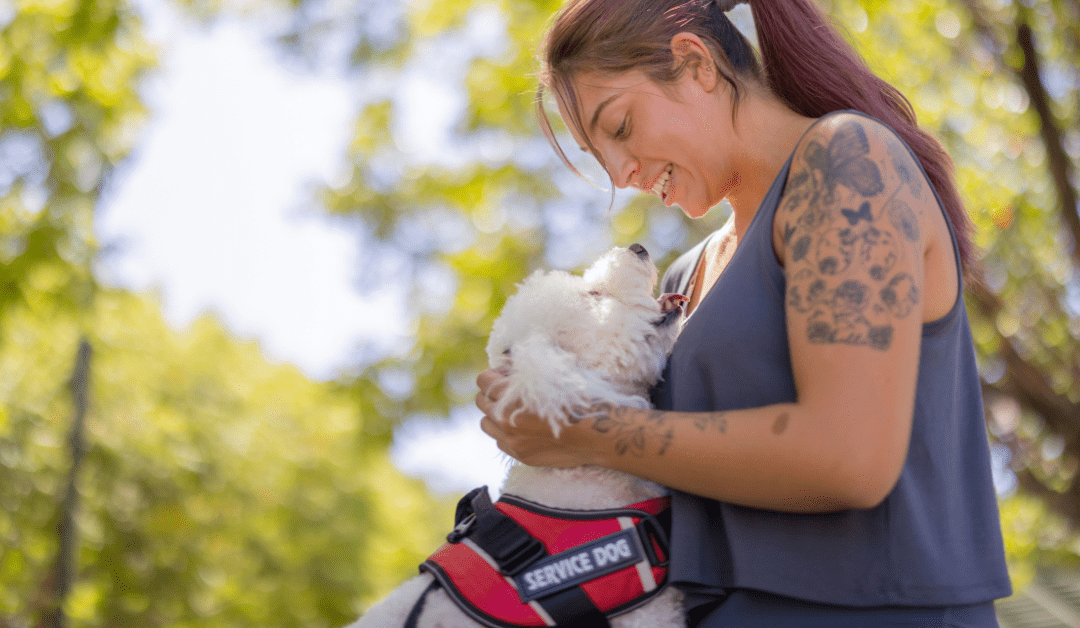 Disability Service Animals: A Helping Paw on Life’s Journey