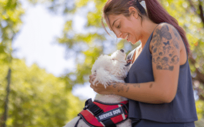 Disability Service Animals: A Helping Paw on Life’s Journey